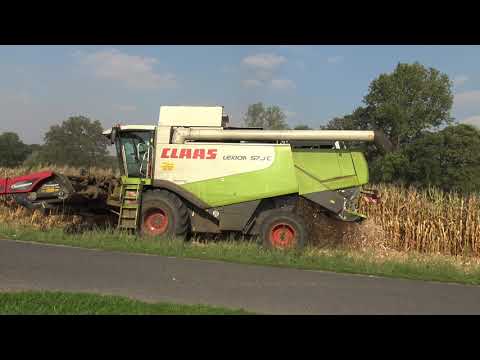 Claas Lexion 570C beim  Mais dreschen