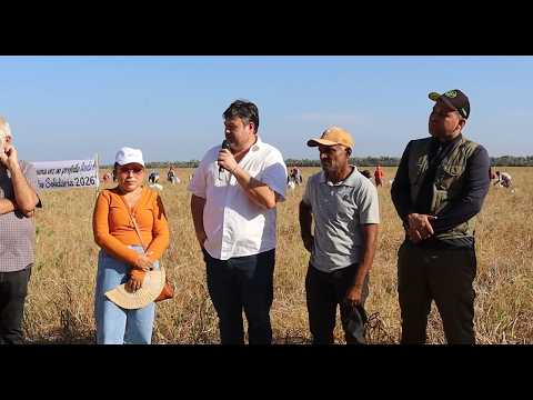 SAFRINHA SOLIDÁRIA: AGRO DE BURITI NO MA TRANSFORMA 150 HECTARES DE FEIJÃO EM ALIMENTO PARA FAMÍLIAS