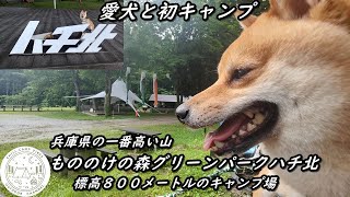 [家族キャンプ]愛犬と初キャンプ　兵庫県の一番高い山　もののけの森グリーンパークハチ北　標高８００メートルのキャンプ場