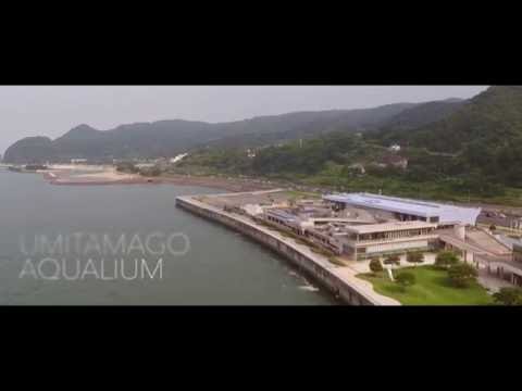 大分マリーンパレス水族館 うみたまご-Umitamago Aqualium-【OITA CITY -the bird view-】