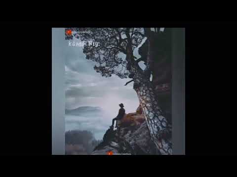 Lwitw ranlgnw hagwo new whatsapp setetas 🌷 video// 📸🌷😍🌿🥀//