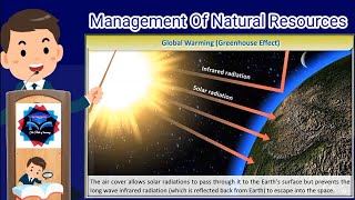 Greenhouse Effect and Global Warming | Environmental Science | LetsTute