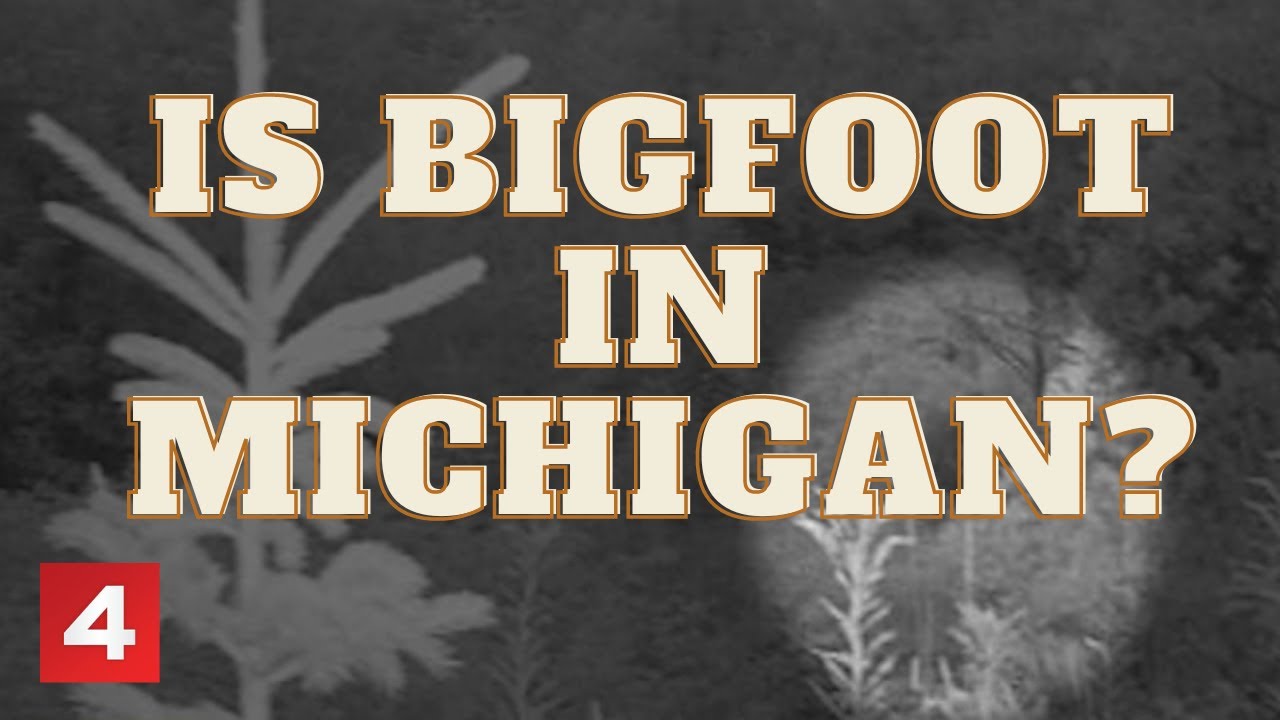 Secrets of Big Foot – Will we Ever See the Mythical Creature?