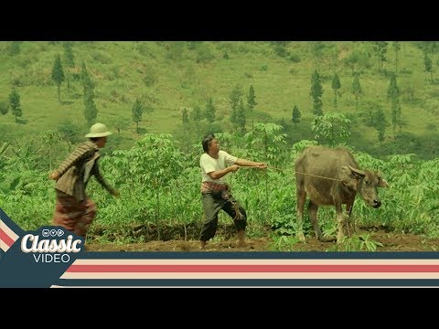 Gara - Gara Cari Bidan | Ateng Minta Kawin - Part 14