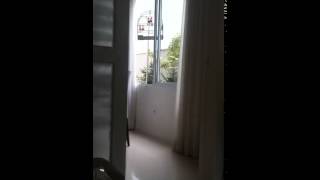 CRIADOURO BARCELONA - temporada 13/14