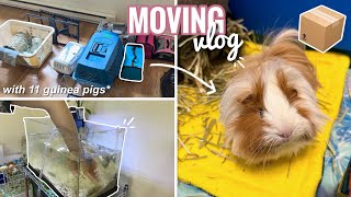 Moving Vlog Pt. 1 || packing, taking down my room & moving animals