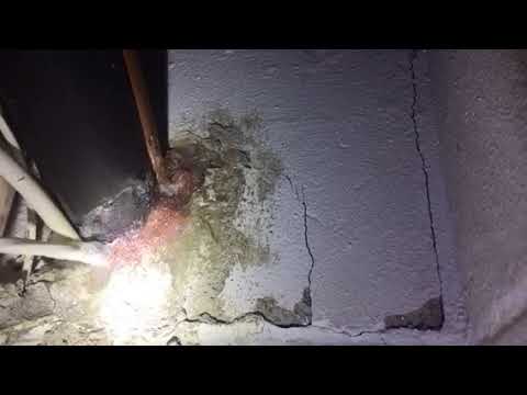 Customer Finds Mice in Their Home in Rumson, NJ
