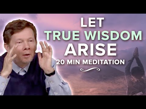 A Teaching on Inner Spaciousness: 20 Minute Meditation with Eckhart Tolle