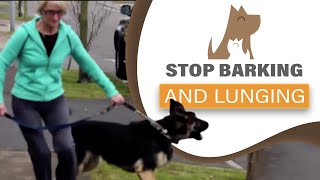 How to STOP your dog barking/ lunging at visitors & dogs; aggression