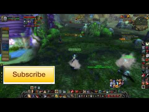 World of Warcraft: Zizzla Warsong Gulch Battleground