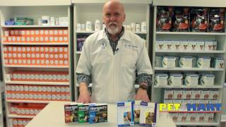 Heartgard Plus vs. Iverhart Plus- Which Should I Choose