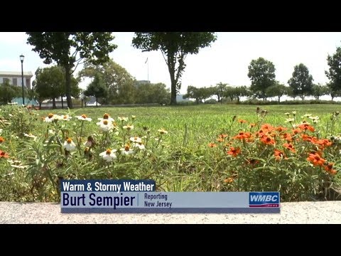 NJ Warm & Stormy Weather