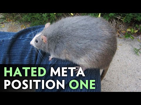 You HATE to see THIS CARRY back to META