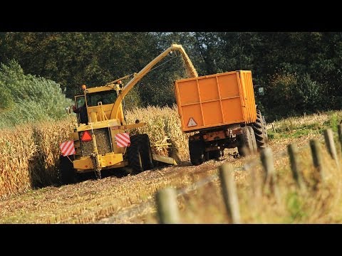 Good Old New Holland 2305 - harvesting maize - mais hakselen - chopping corn - maisernte - 2013