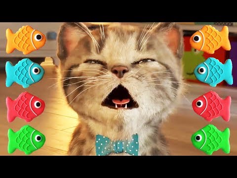 Little Kitten My Favorite Cat - Play Fun Pet Care & Learn Colors Games For Children By Fox & Sheep