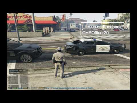 COPS In The LSPDFR Matrix Channel Intro