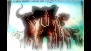 The Pre-Existing Conditions - Elvis Costello &amp; The Attractions cover "Two Little Hitlers"