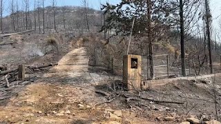 Weiteres Brandopfer im Dadia-Wald gefunden (Video)