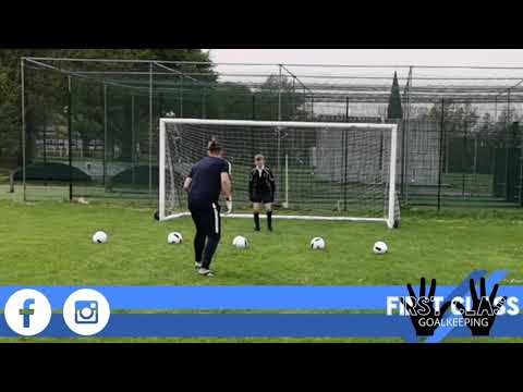 FCG-E3 Goalkeeper Training How to learn Blocking Spreading Diving Technique for close range saves.