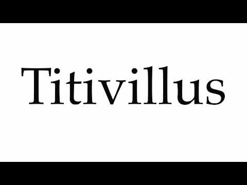 How to Pronounce Titivillus