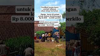Download lagu prediksi harga Karet terbaru #farmers #petanikaret mp3
