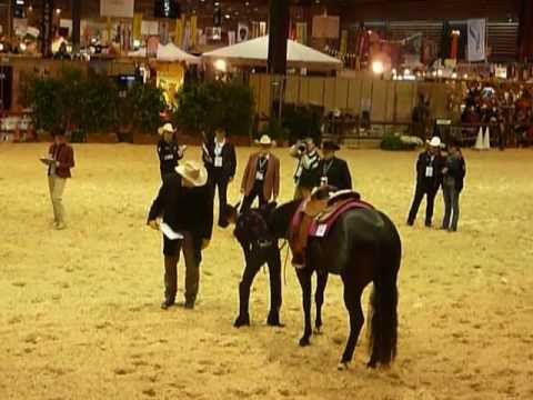 OPEN JUNIOR WESTERN PLEASURE - Equitalyon 2012
