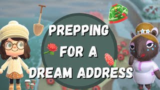 How I prep for a final Dream Address Save | Guide | Animal Crossing New Horizons