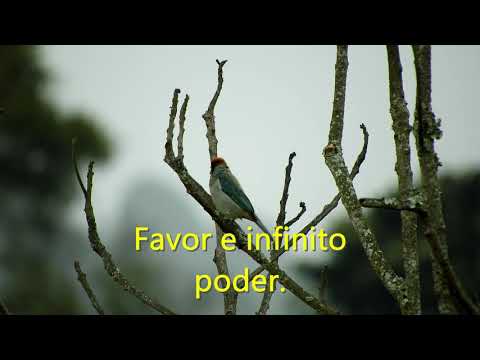 CCB Hino 146 - De Deus veio a Luz (Cantado e Legendado) Hinário 5