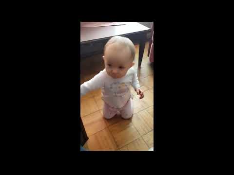 Sheltie playing with baby