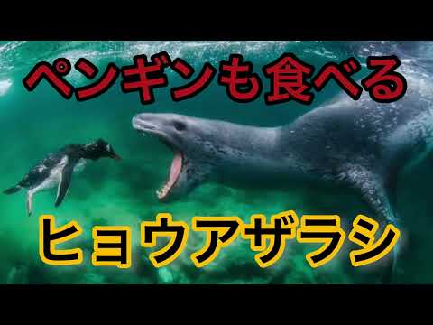 IUCN分類における絶滅の危険性を示す図。