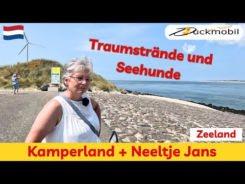 Zeeland #1 - a dream of dunes, sea and lush meadows