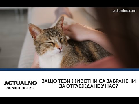 Защо тези животни са забранени за отглеждане у нас? (ВИДЕО)