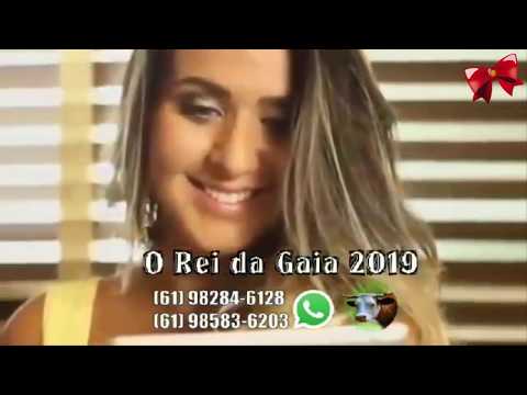 FOI NO FACEBOOK QUE AGENTE SE CONHECEU  - CLIPE REI DA GAIA SHOW.