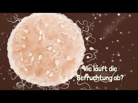 Die Wirkungen von benigner Prostatahyperplasie Wie die Symptome der Prostatitis entfernen
