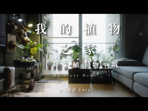 植物擺設