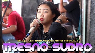 Download lagu GEA AYU TRESNO SUDRO NEW SATRIO PANDOWO TERBARU 2022 mp3
