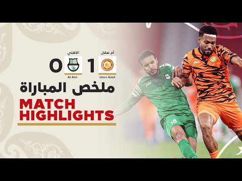 bg-highlight
