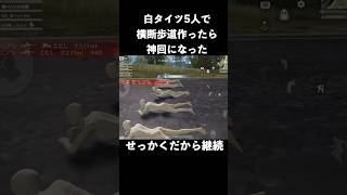 白タイツ5人で横断歩道作ったら神回になった　#荒野行動