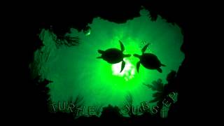 Stan SB - We&#39;re Alive