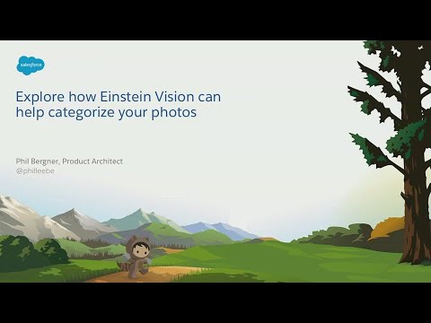 Leveraging Einstein Vision to Help Categorize Your Photos