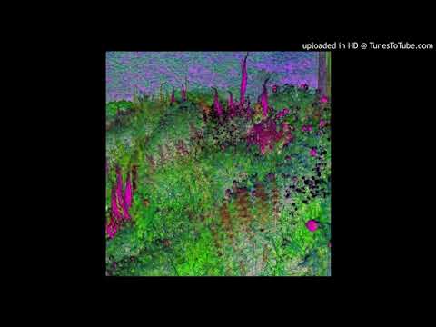 Aphex Twin - dark horse overlord acid+7 (user18081971)