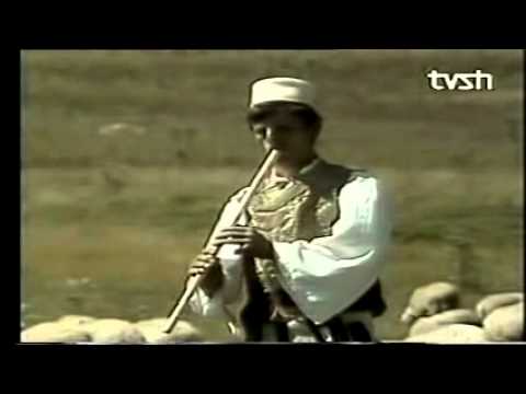 fyelli ne fushe te korabit