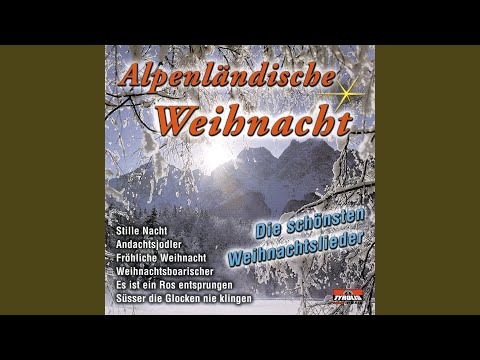 Weihnachtsboarischer (Radio Version)