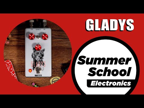 Summer School Electronics Gladys Overdrive image 3