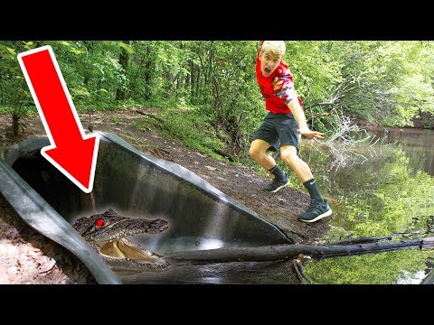 MONSTER IN POND!! (HIDING IN DRAIN PIPE)