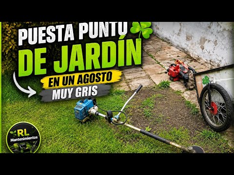 Puesta punto de jardín, ☘️ en un agosto muy gris en Mercedes bs as