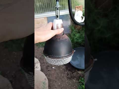 Landschildkröten - Die Technik im Frühbeet/Gewächshaus (europäische Arten)