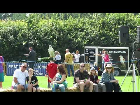 Oaklands college summer fete 2018(9)