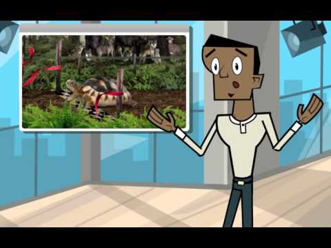 Introduction to Reading Skills: Order of Events