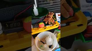 Bent Fork Quick Mail call Live! #gold #goldmining #goldpanning #goldprospecting